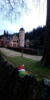 Tag 4 Blick auf das Schloss Mespelbrunn 