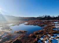 Tag 5 - Hohes Venn