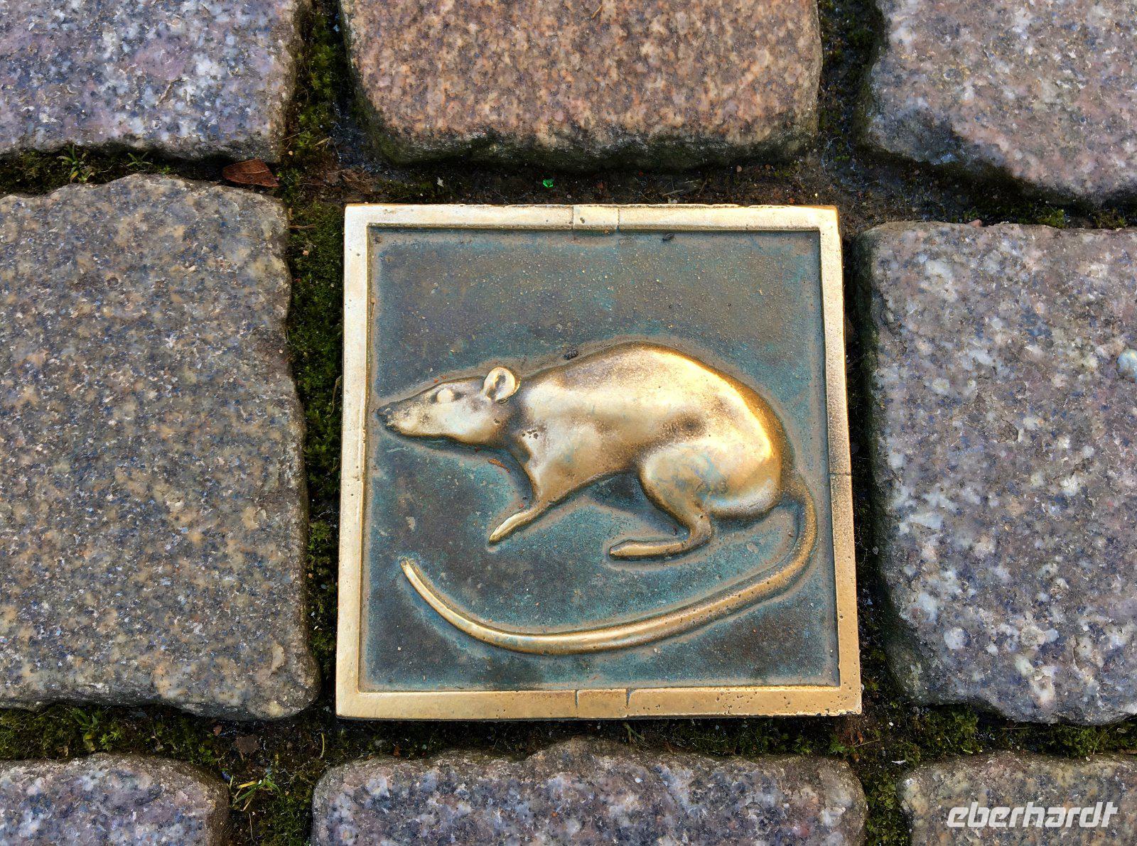 Tag 5 - Ratte