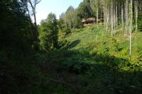 Tag 5 19.09.2024 Wanderung auf dem Römerpfad