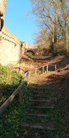 Tag 5 Aufstieg zur Burg Wertheim in Wertheim 