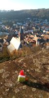 Tag 5 Ausblick auf Wertheim von der Burg Wertheim 