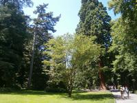 Teile des Arboretums