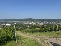 Trier