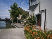 Uferweg am Rhein
