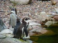 Vogelpark Walsrode