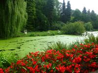 Vogelpark Walsrode