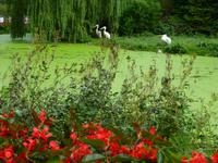 Vogelpark Walsrode