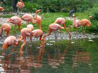 Vogelpark Walsrode