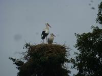 Vogelpark Walsrode