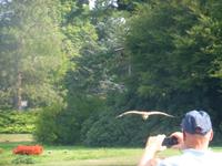 Vogelpark Walsrode