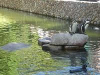 Vogelpark Walsrode