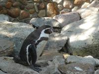 Vogelpark Walsrode