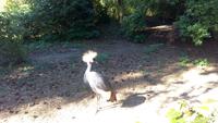 Walsrode. Weltvogelpark