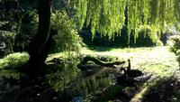 Walsrode. Weltvogelpark