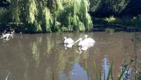 Walsrode. Weltvogelpark