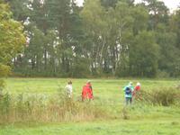 Wanderung bei Wieck