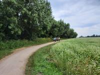 Wanderung von Wustrow nach Ahrenshoop (Hohes Ufer)