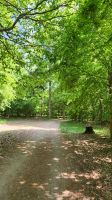 Wanderweg auf Föhr