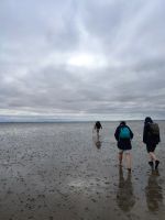 Watt Wandern