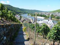 Weg unterhalb der Burg Landshut