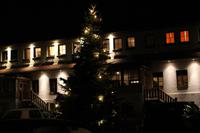 Weihnachtsbaum vorm 