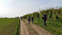 Wein, Weib & Gesang in Meißen – Benjamin´s Treuekundenreise