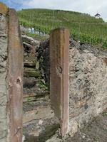 Weinfelder