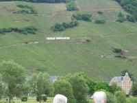 Weinhänge an Mosel