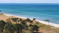Weststrand mit Windflüchter