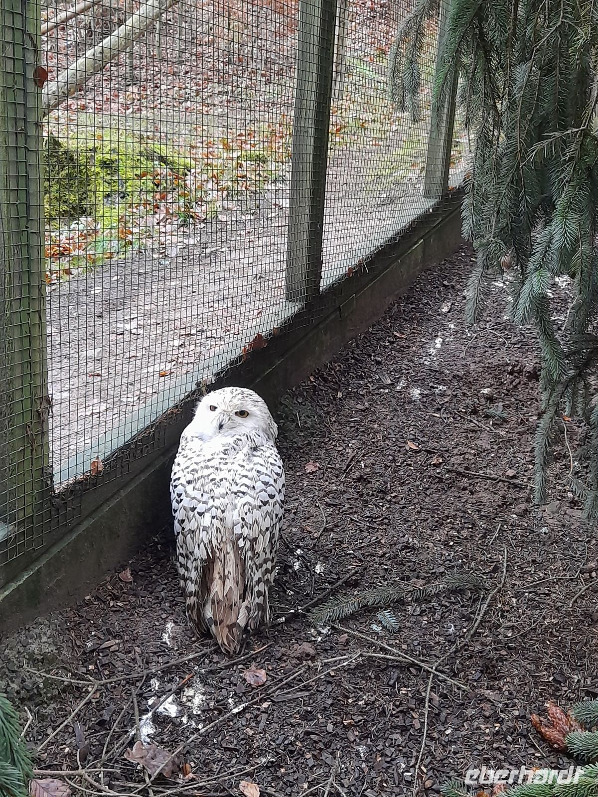 Wildpark Gersfeld