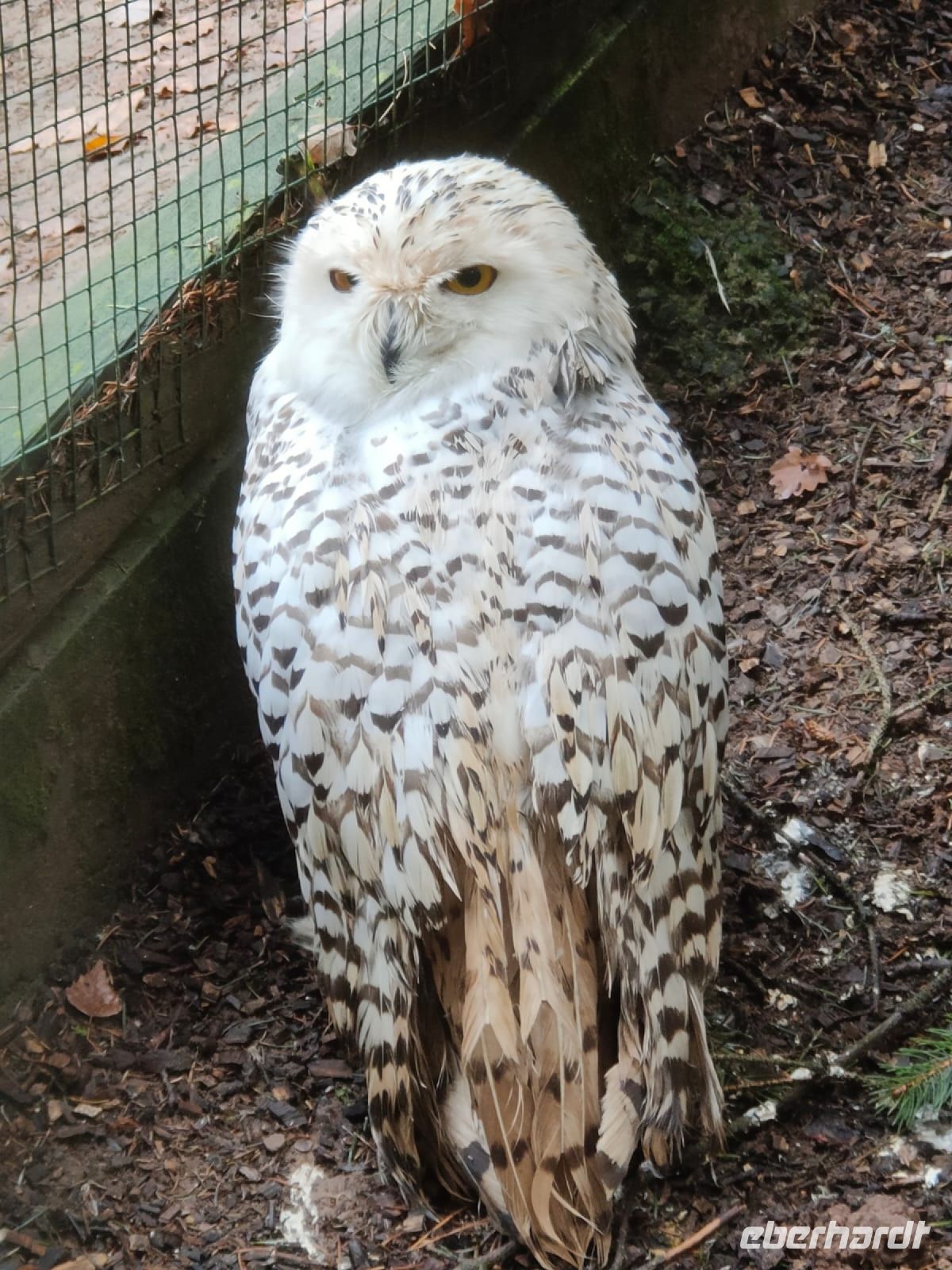Wildpark Gersfeld