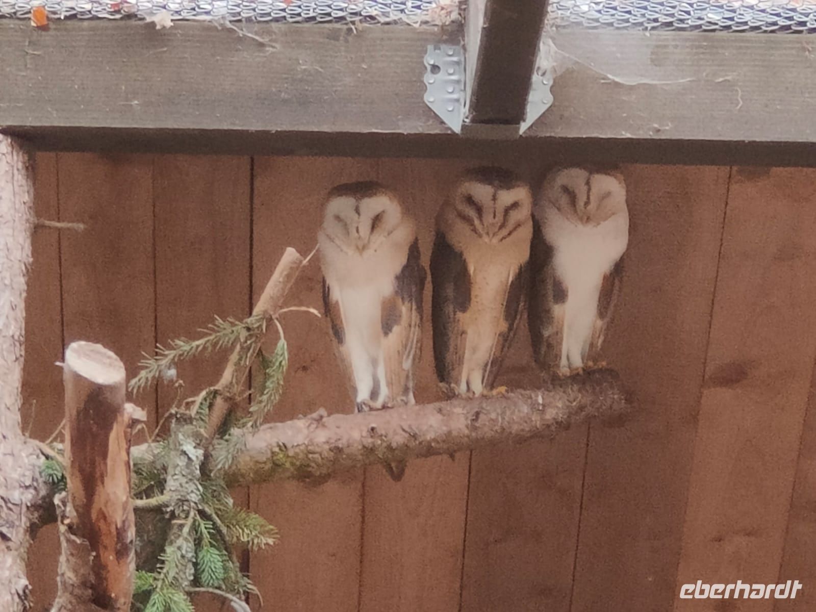 Wildpark Gersfeld