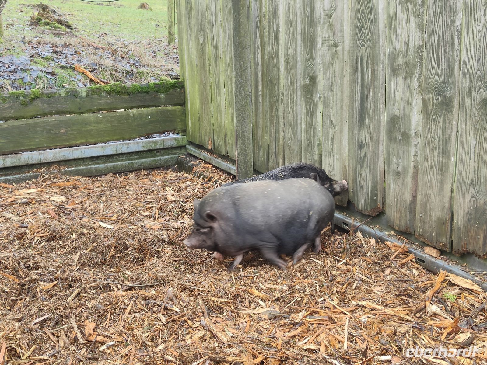 Wildpark Gersfeld