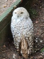 Wildpark Gersfeld