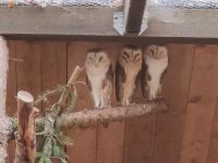Wildpark Gersfeld