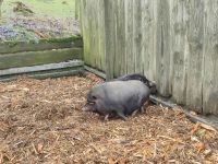 Wildpark Gersfeld