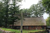 Wilsede
