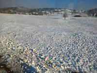 Wir freuen uns über eine geschlossene Schneedecke.