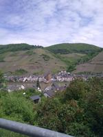 Zell
