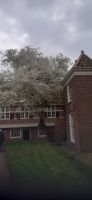 Zuiderzeemuseum Enkhuizen