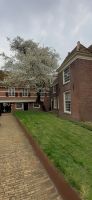Zuiderzeemuseum Enkhuizen