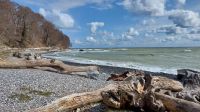 am Steinstrand von Sassnitz