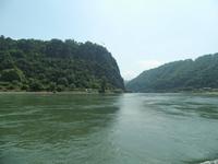 auf dem Rhein