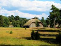 auf dem Schäferhof Neuenkirchen2