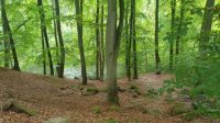 bis zu 30 Meter hohe Steilhänge 