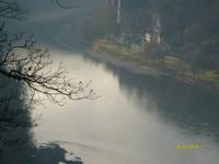 die Donau und das 