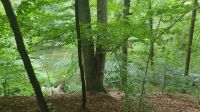 die Warnow