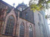dom zu Worms