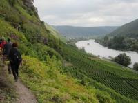durch die Weinberge